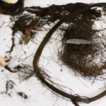 On Becoming a Pedagogist: Brief Thoughts on Pedagogical Documentation