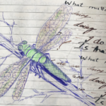 On Inaugurating and Sustaining the Work of a Post Secondary Institution Pedagogist: Collectivity, In-Betweens, and Having a ‘Why’ – an interview with Bo Sun Kim